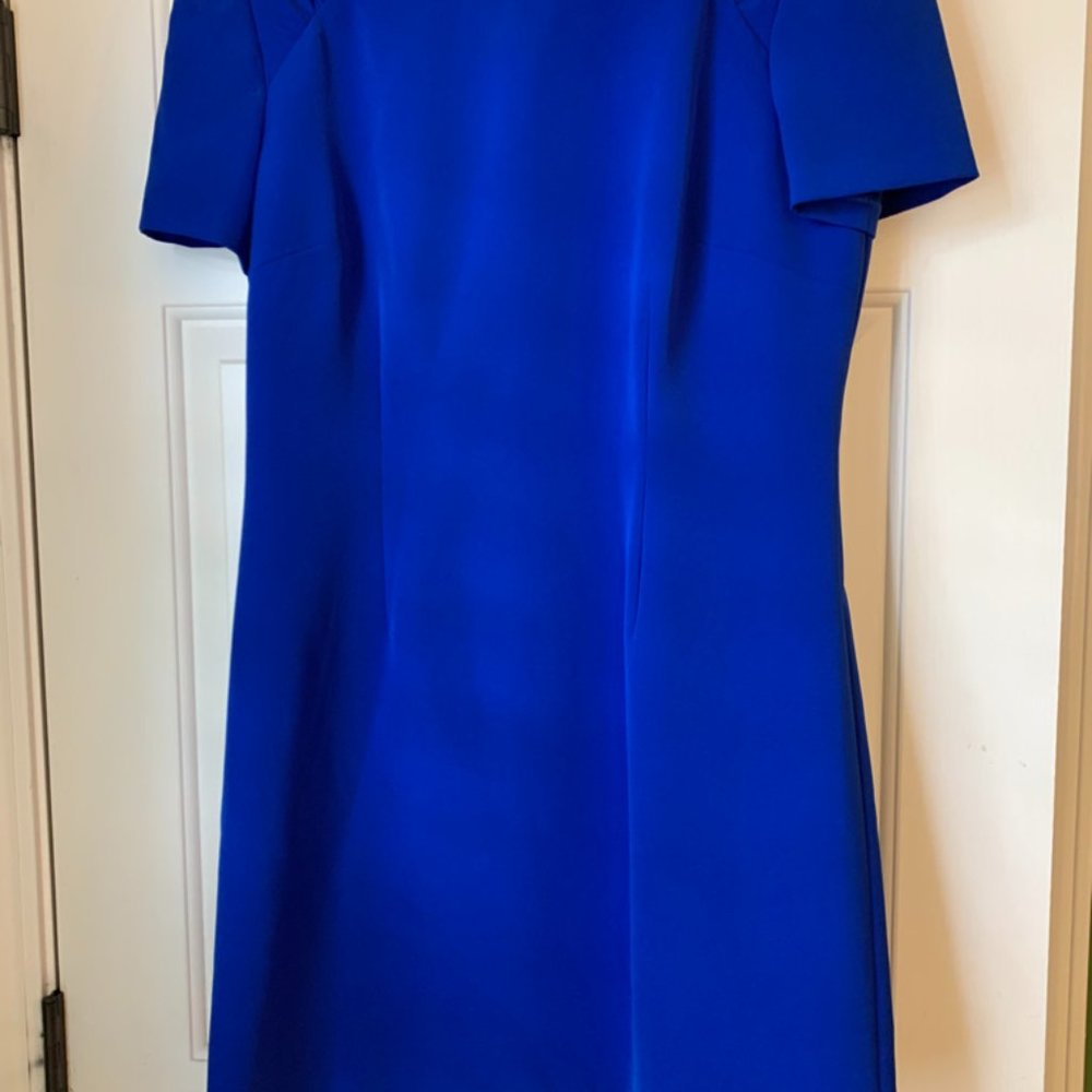 Bright Blue short sleeved dress